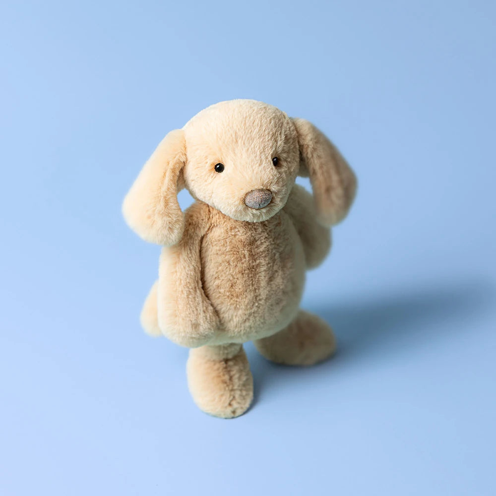 Bashful Luxe Puppy Orlando - US 5135