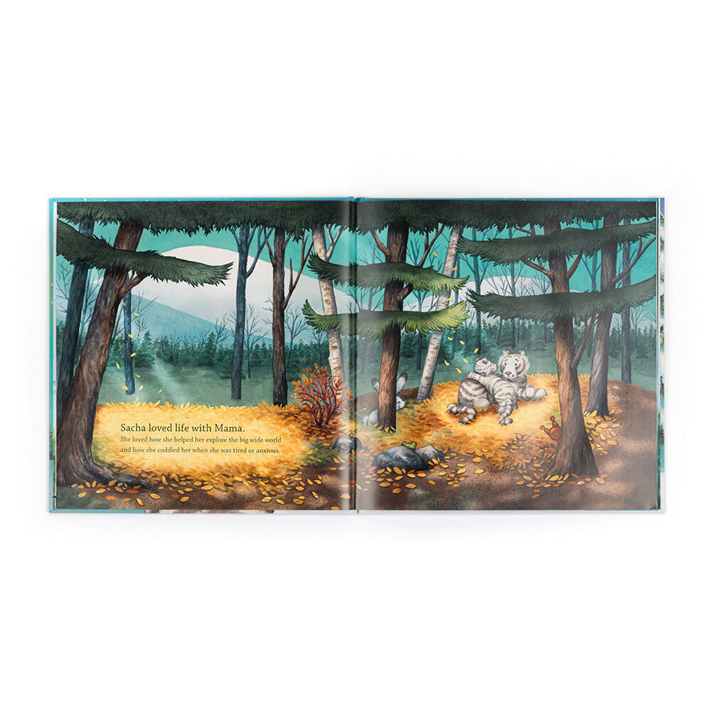 Sacha And The Most Wonderful Thing Book - US 7637