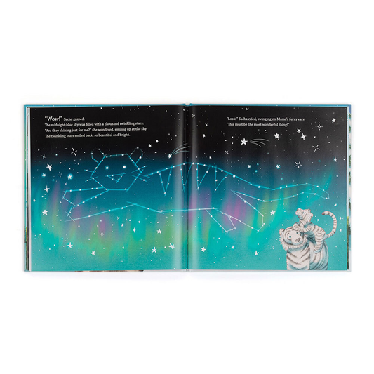 Sacha And The Most Wonderful Thing Book - US 7637