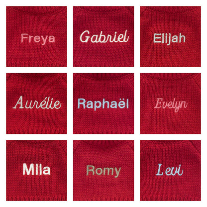 Bashful Black & Cream Puppy With Personalized Red Jumper - US 9614