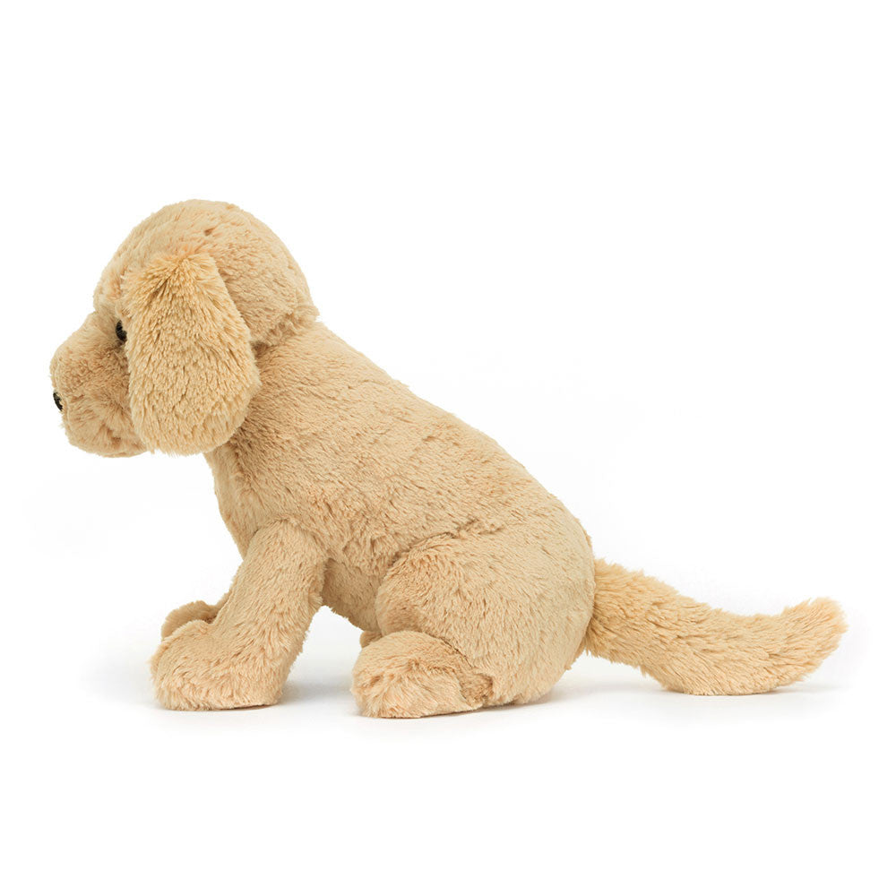 Tilly Golden Retriever - US 9970